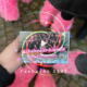 Rückblick Fasnacht 2023